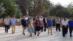 95 مستوطنًا يقتحمون الأقصى وسط قيود مشددة