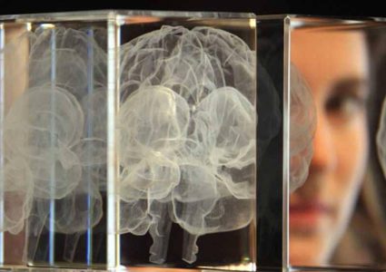 ماذا يحدث بجسم الإنسان حين يكذب؟