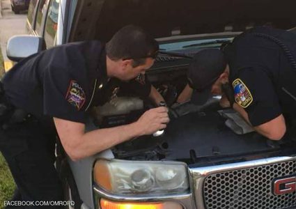 امرأة تكتشف مفاجأة مرعبة داخل سيارتها