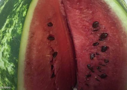 علامة لا تخطئ لاختيار البطيخة الحمراء