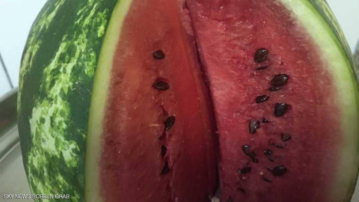 علامة لا تخطئ لاختيار البطيخة الحمراء