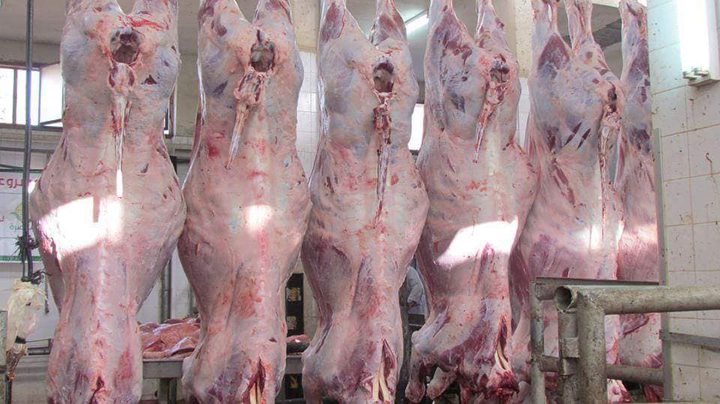 جمعية التضامن تنهي توزيع لحوم الأضاحي