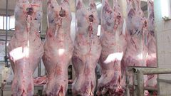 جمعية التضامن تنهي توزيع لحوم الأضاحي