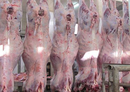 جمعية التضامن تنهي توزيع لحوم الأضاحي