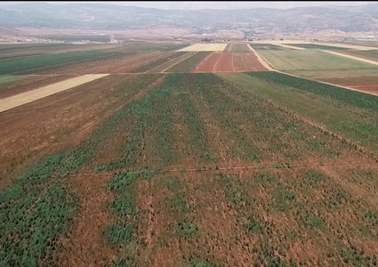 تغير المناخ يحول سلة غذاء الشرق الأوسط لمزرعة حشيش