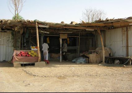 الاحتلال يهدم عرائش ويستولي على الخضار في بيت أمر