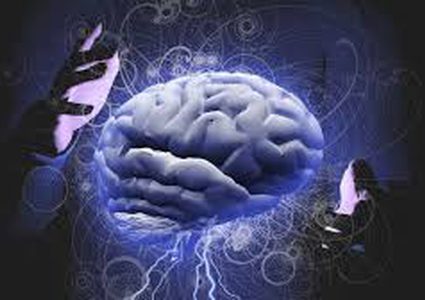 اكتشاف "أنفاق سرّية" تربط الدماغ بجمجمة الإنسان