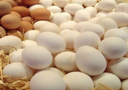 اتلاف 43 ألف من البيض المخصب في غزة