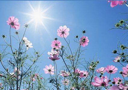 الطقس: ارتفاع تدريجي على درجات الحرارة حتى الأثنين