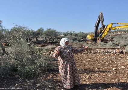 الاحتلال يُخطر باقتلاع 70 شجرة زيتون