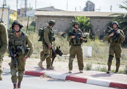 الإحتلال يعلن بدأ جولة تدريبات عسكرية موسعة