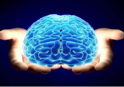 كيف تتتبع أدمغتنا الوقت؟