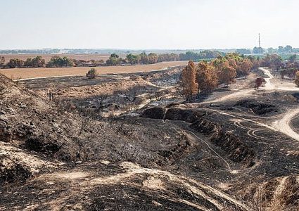 قلق إسرائيلي على الزراعة في العام المقبل