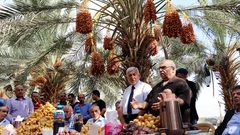 نفط الأغوار.. يجتاح الأسواق الفلسطينية والعالميّة