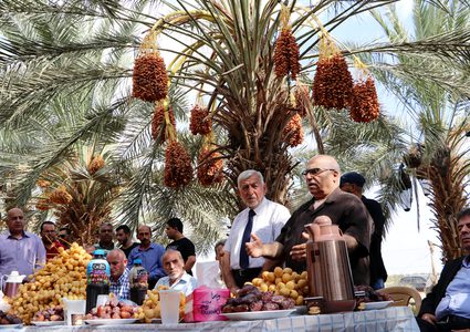 نفط الأغوار.. يجتاح الأسواق الفلسطينية والعالميّة