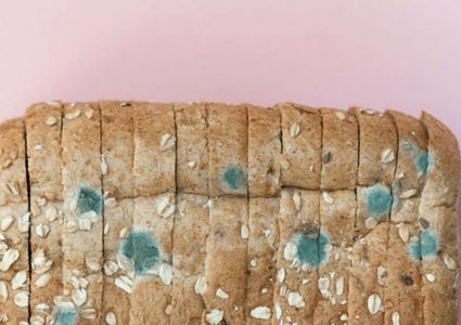 ماذا يحدث لجسمك اذا تناولت الخبز المتعفن!