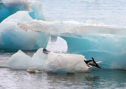 "وحش جليدي" بحجم مدن يبدأ التحرك