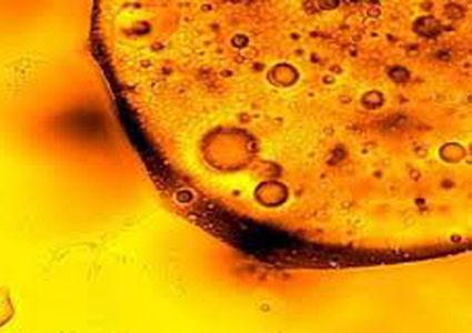 العلماء يحذرون من سلالات بكتيرية مقاومة للعقاقير