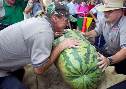 أكبر بطيخة في العالم أوكرانية أم أمريكية؟