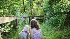 الفوائد النفسية والجسدية لتربية الحيوانات الأليفة