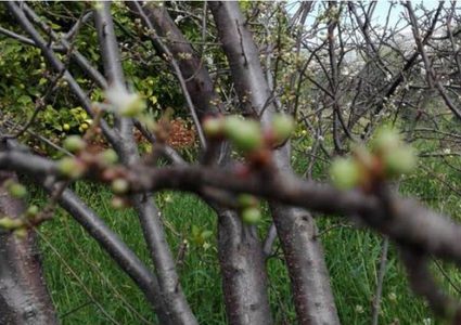 الطقس غائم... ماذا عن الحرارة؟