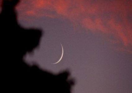 المفتي: الثلاثاء الأول من محرم للعام 1440 هـ