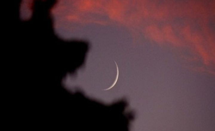 المفتي: الثلاثاء الأول من محرم للعام 1440 هـ