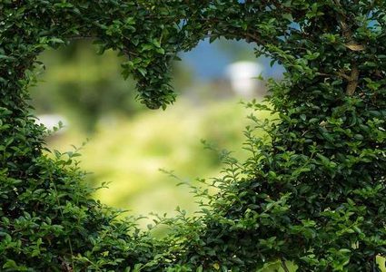 قلوب البشر تشيخ أسرع منهم!