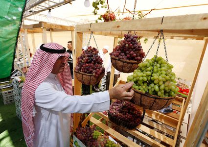 مهرجان العنب الفلسطيني في مدينة الخليل