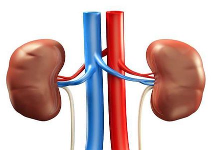 أعراض خطرة لأمراض الكلى تستدعي مراجعة الطبيب