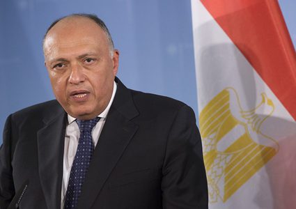 شكري: القضية الفلسطينية تمر بمنعطف خطير
