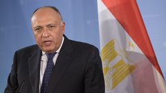 شكري: القضية الفلسطينية تمر بمنعطف خطير