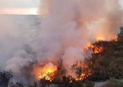 الاعلام العبري: اندلاع حريق في غابات البحر الميت