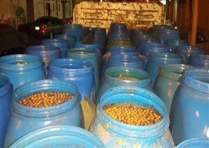 الصحة تتلف 30 طناً من مخلّلات فاسدة