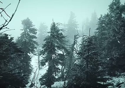 شاهد الفيلة والزرافات وسط عاصفة ثلجية في إفريقيا!