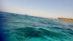 سحبها في مياه شرم الشيخ لتخشى الغرق.. وقام بفعلته