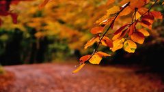 أيلول.. شهر الحب والاكتئاب!