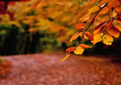 أيلول.. شهر الحب والاكتئاب!