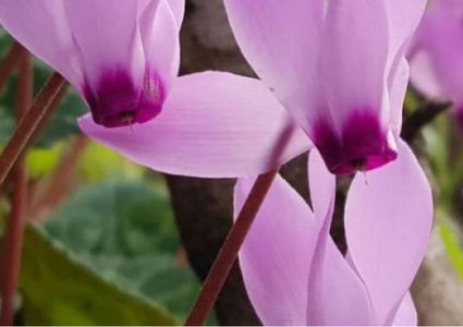 هل سنشهد ارتفاعاً في الحرارة؟