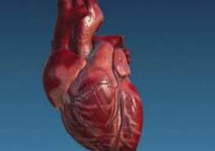 تلوث الهواء أخطر مما تظن على "صحة القلب"