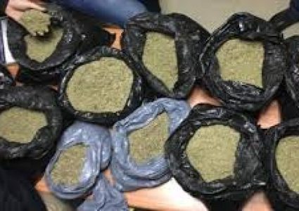 ضبط 250 غرام مواد مخدرة في الخليل