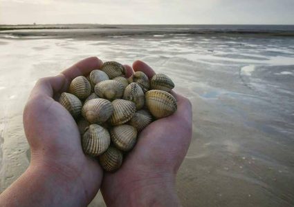 أمل جديد لمرضى السرطان.. "السر" في أعماق البحار