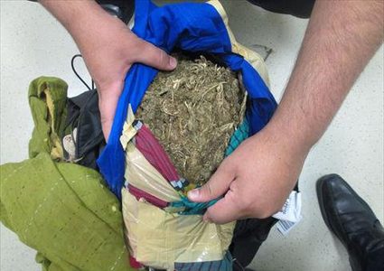 ضبط كيلو ونصف "ماريجوانا" في بيت لحم