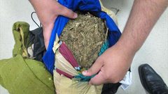 ضبط كيلو ونصف "ماريجوانا" في بيت لحم