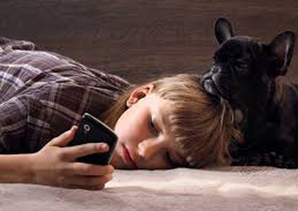 الهوس بالهاتف يؤثر سلباً على الحيوانات الاليفة