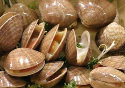 "المحار" يعالج السرطان دون آثار جانبية!