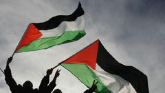 نواب أوروبيون يدعون للاعتراف الفوري بدولة فلسطين