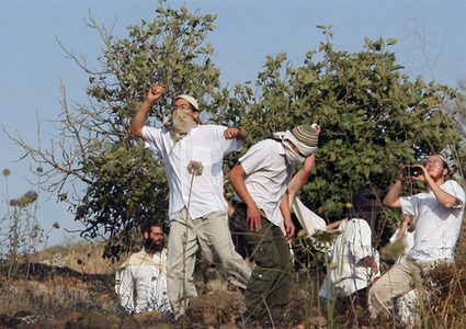 مستوطنون يجرفون قطعة أرض بحي الشيخ جراح
