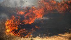 سبع حرائق في "غلاف غزة" بفعل بالونات حارقة