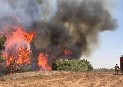 الاحتلال يحرق مزرعة في سبسطية